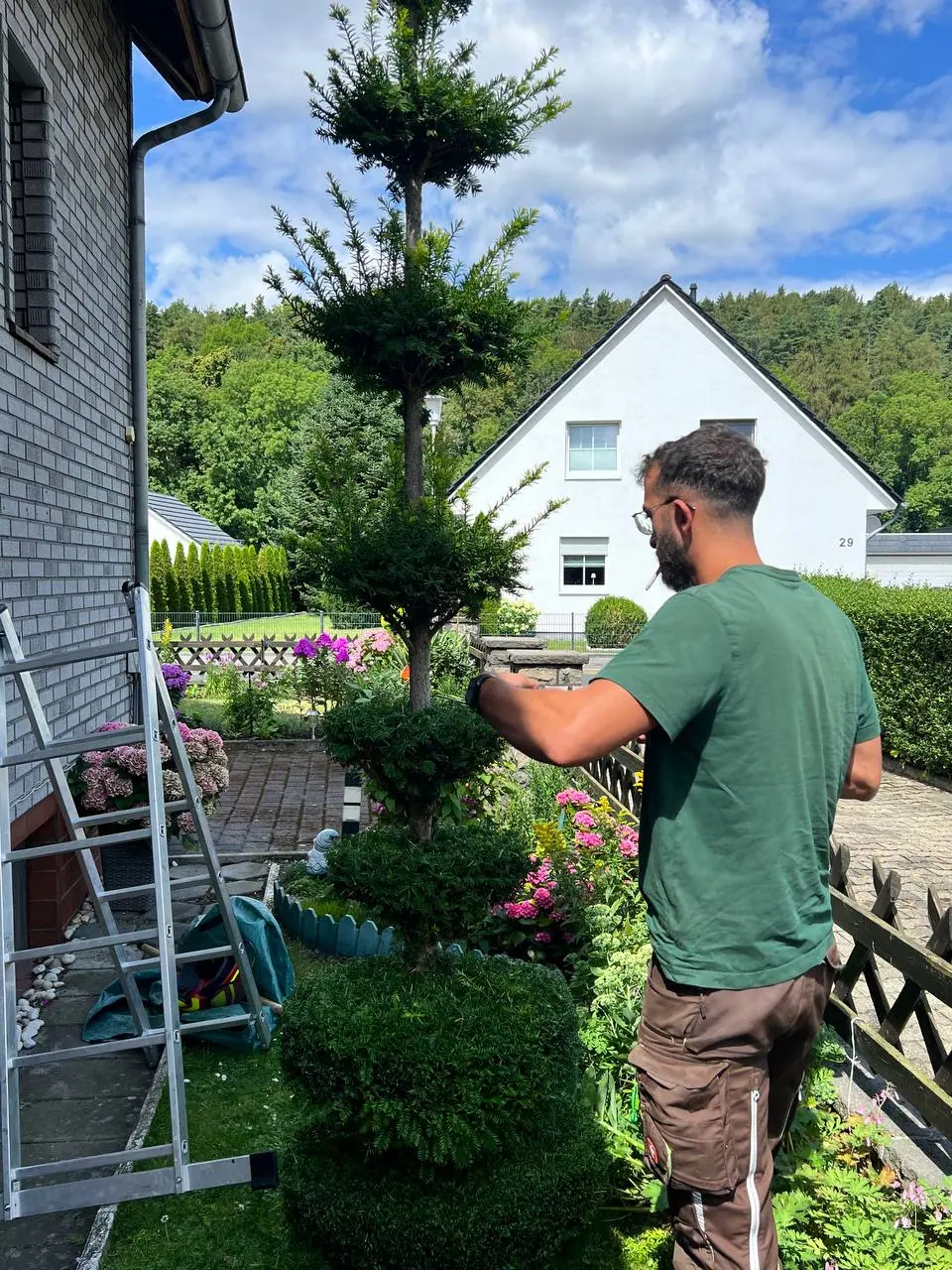 Mitarbeiter beim Formschnitt eines Formgehölzes – Gartenpflege Goslar