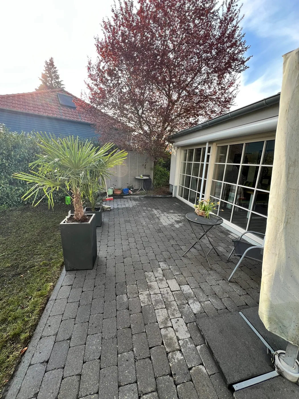 Gepflasterte Terrasse mit Kübelpflanzen – Gartenbau Goslar