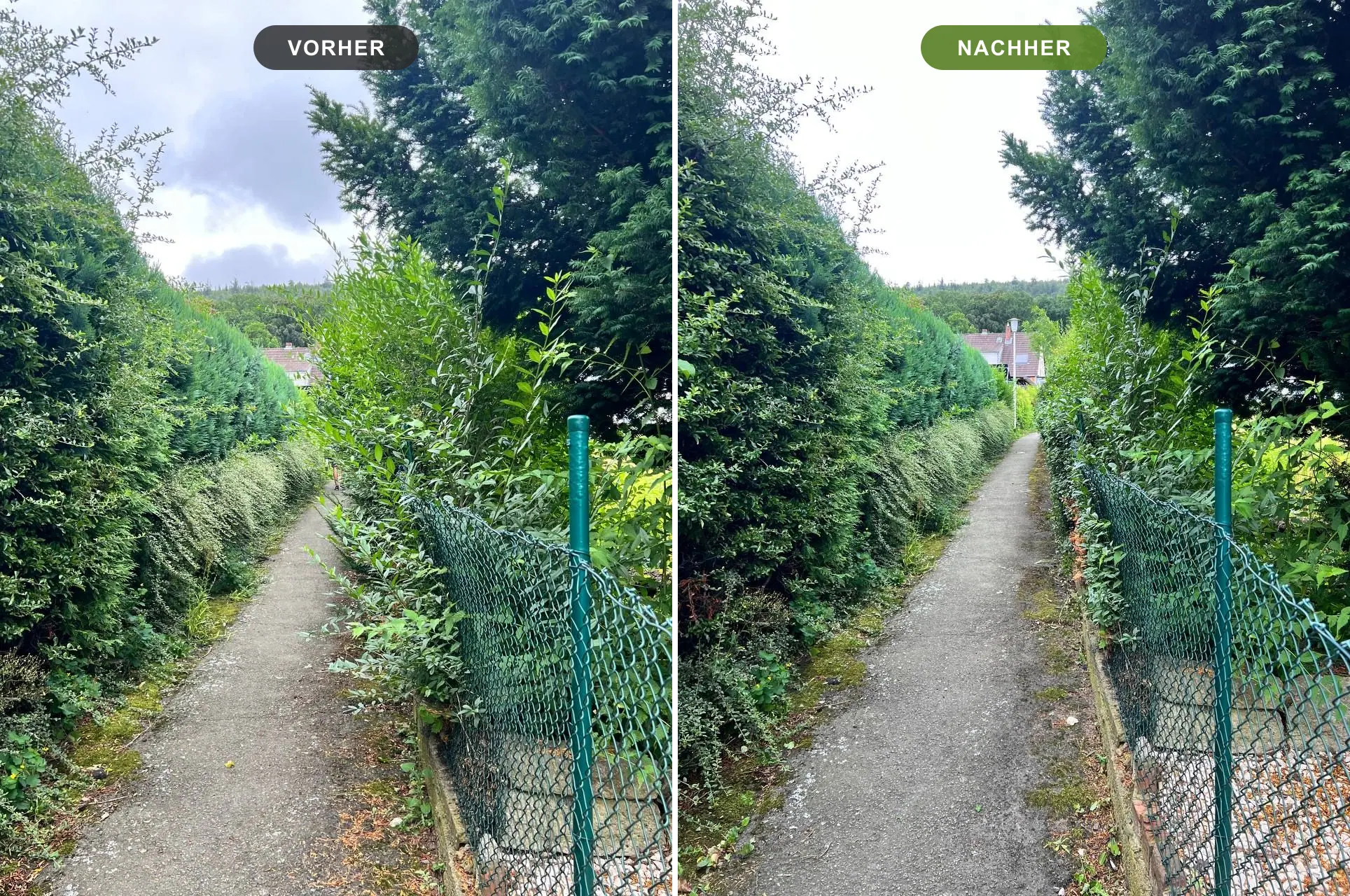Vorher-Nachher-Vergleich: zugewachsener Fußweg und danach zurückgeschnittene Hecke – Heckenschnitt Goslar