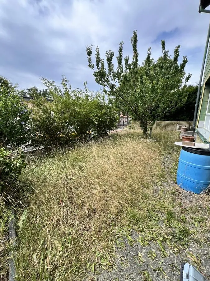 Verwilderter Garten vor Gartenpflege – Green Clean Goslar