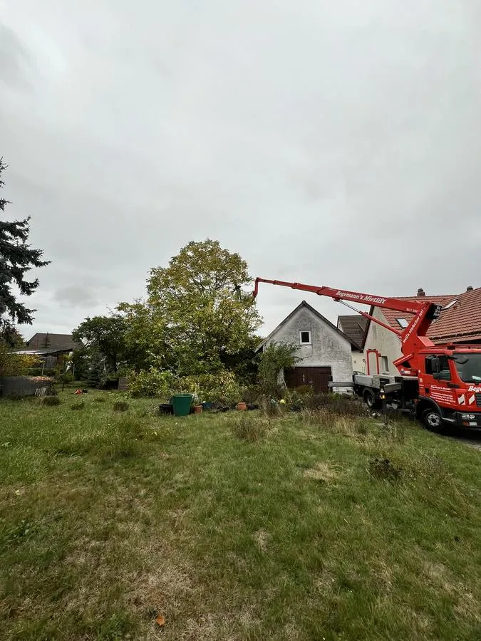Professionelle Baumpflege Hebebühne – Goslar