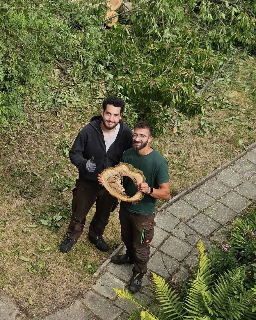 Das Team von Green & Clean nach einer Baumfällung: zwei Mitarbeiter halten eine Stammscheibe, dahinter die zerlegten Stämme